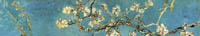 Blossoms900strip.jpg